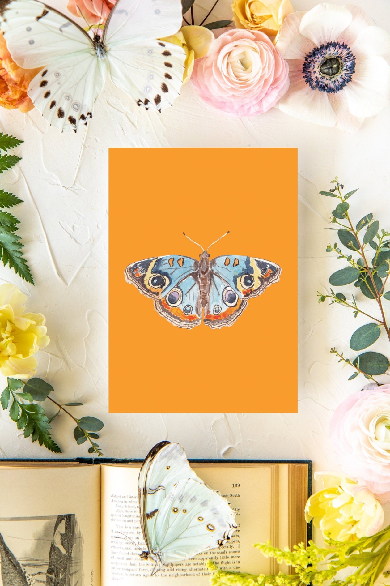 Orange & Blue Butterfly Print