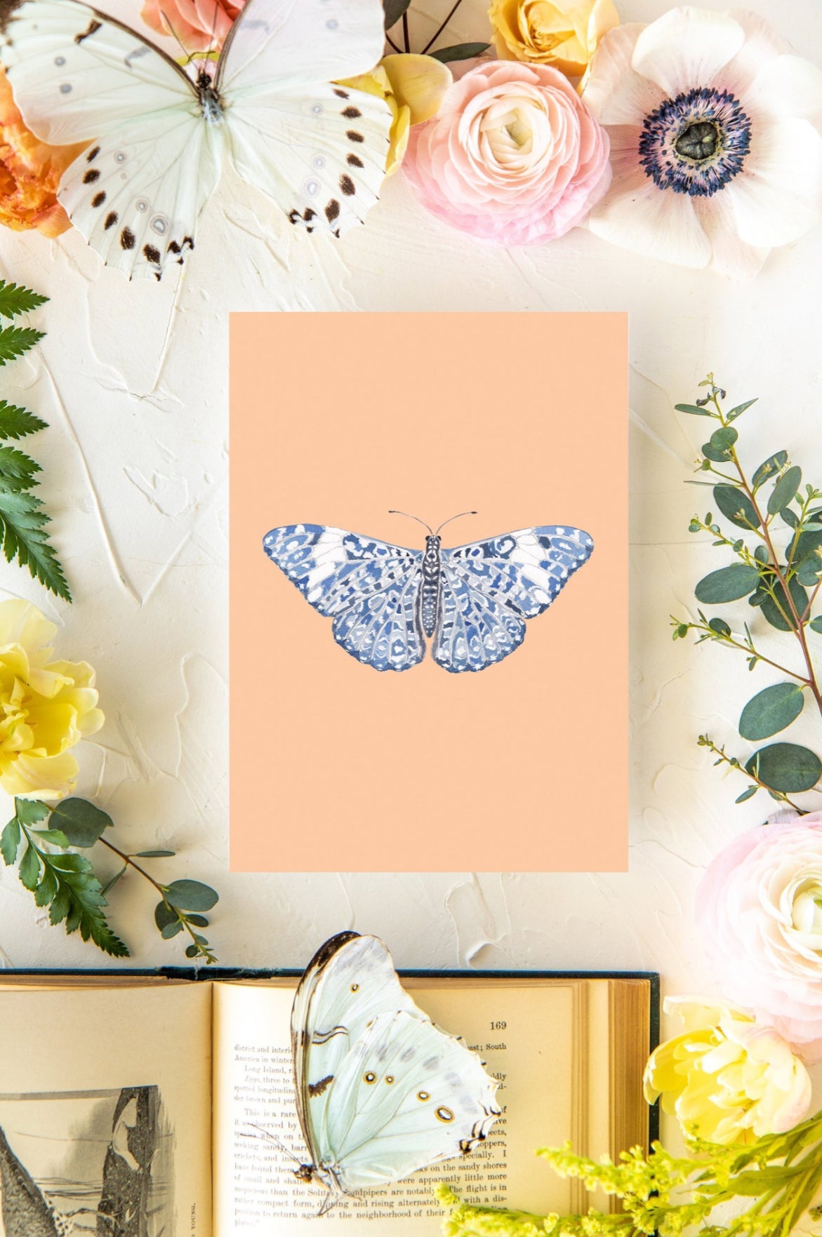 Pastel Orange & Blue Butterfly Print