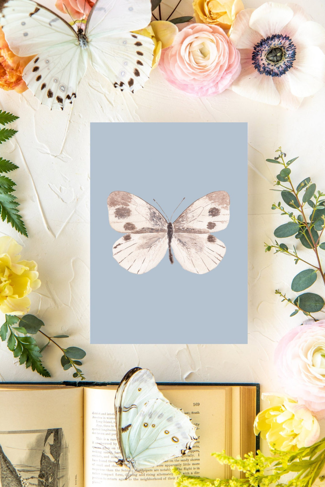 Blue & Beige Butterfly Print
