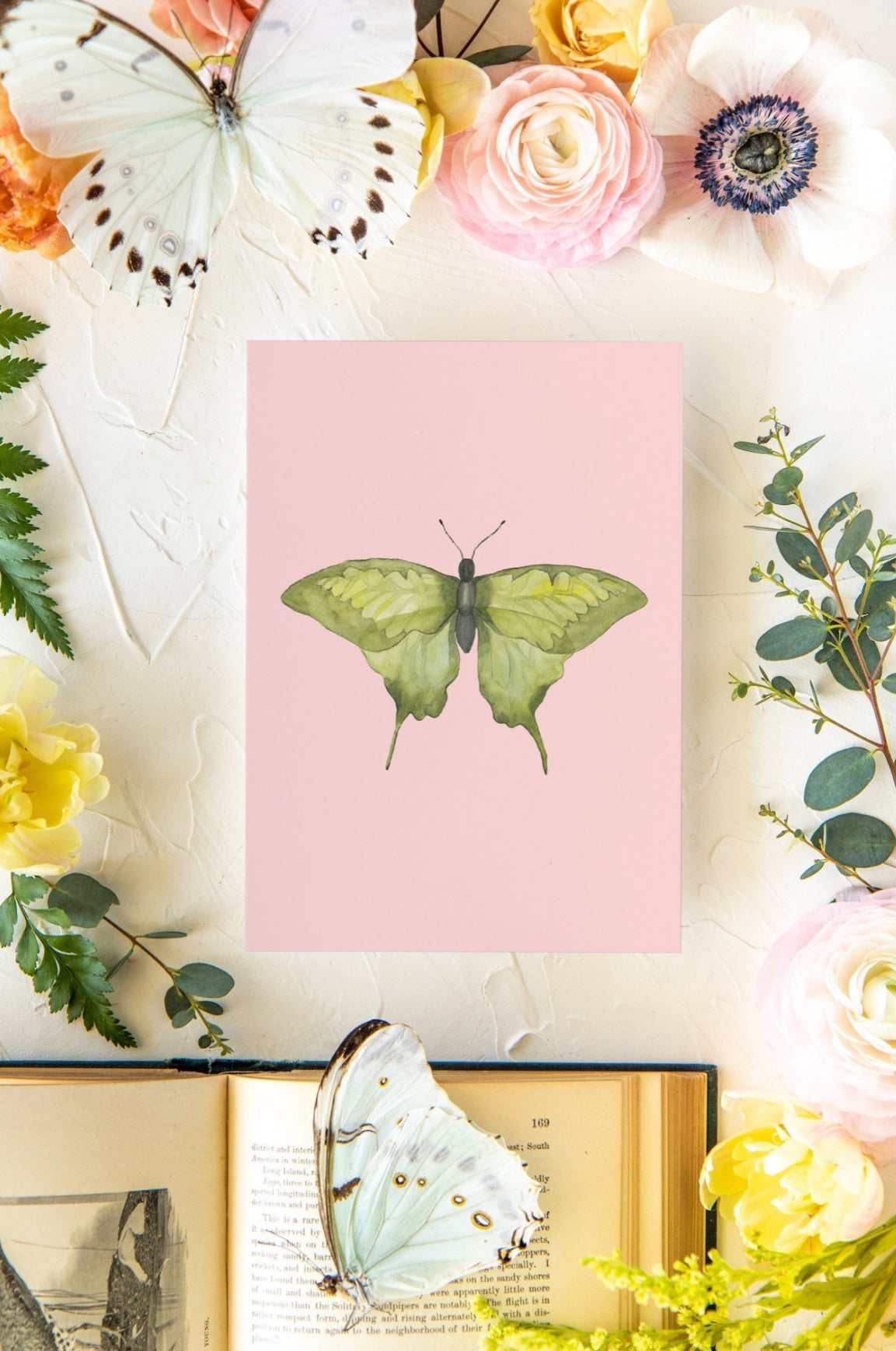 Pink & Green Butterfly Print