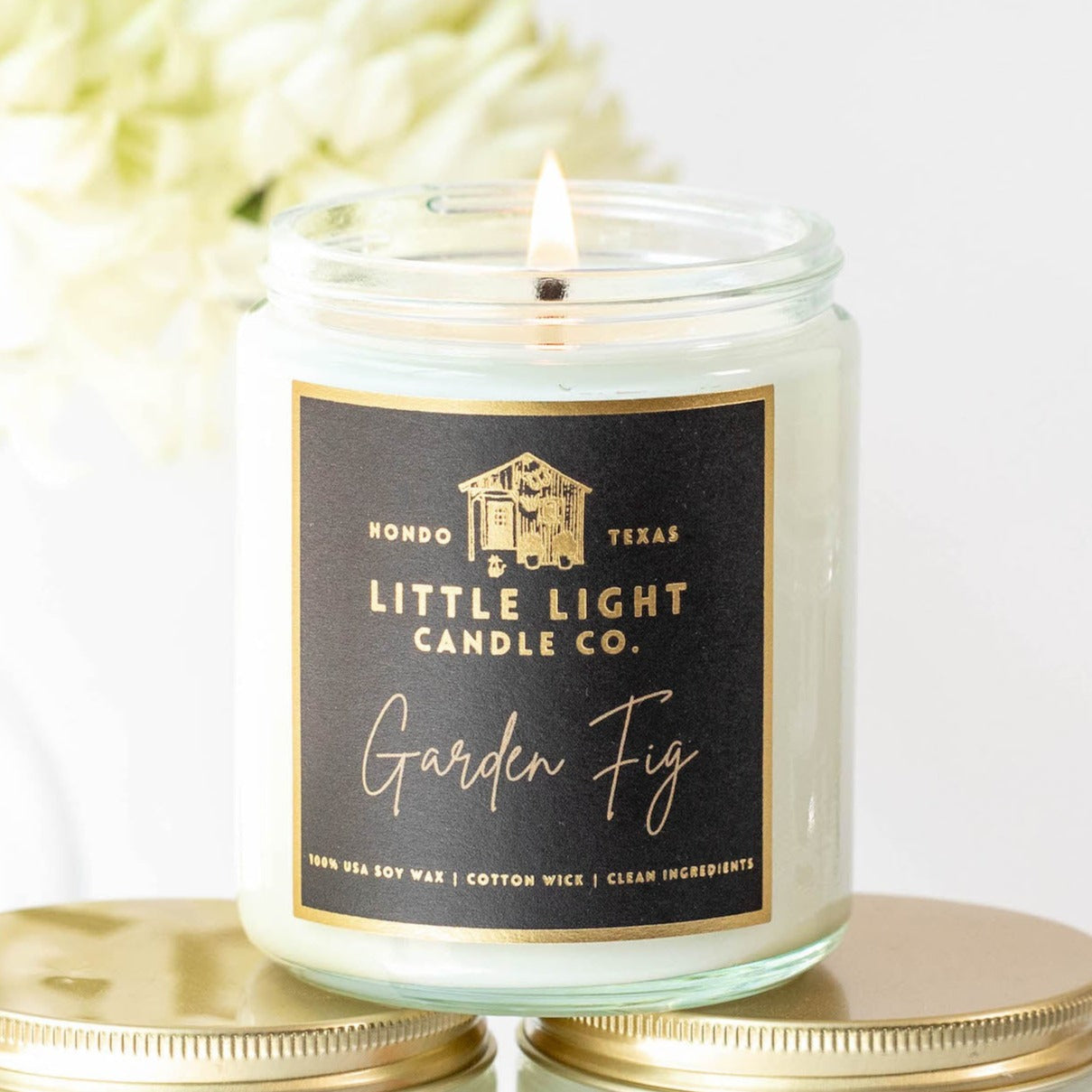 Garden Fig Jar