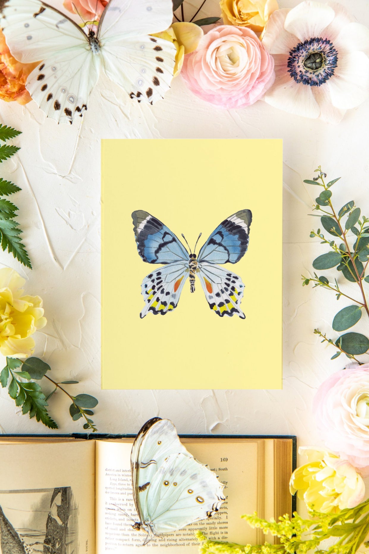 Yellow & Blue Butterfly Print