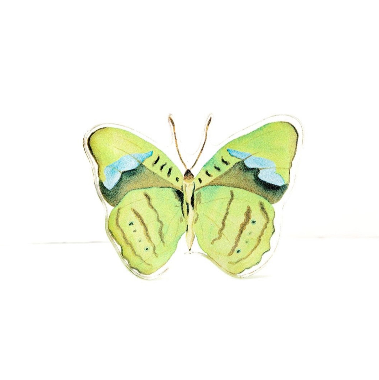 Green Butterfly Acrylic Art Block