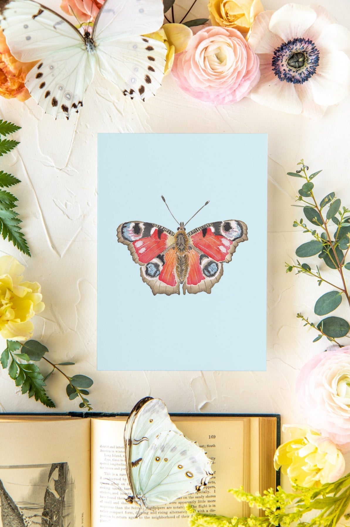 Pink & Brown Butterfly Print