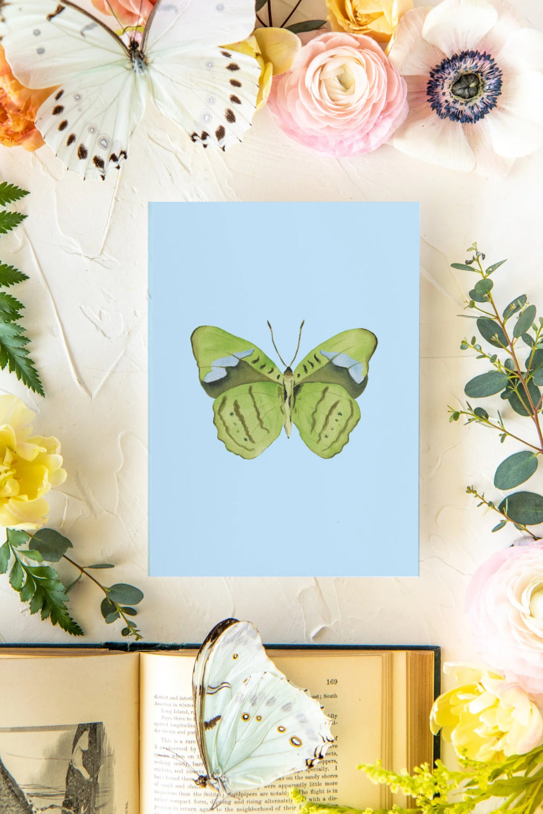 Green & Blue Butterfly Print